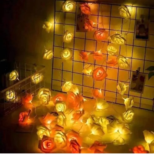 Colourful Rose Light-6 meter